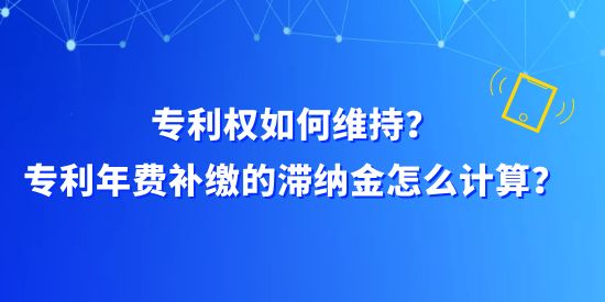 專利權如何維持？專利年費補繳的滯納金怎么計算？